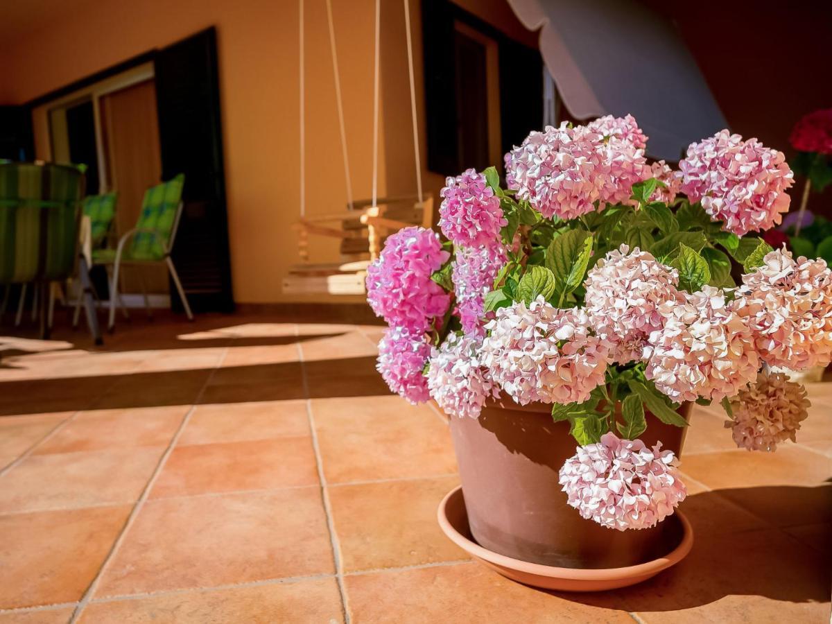 Holiday Home Mila By Interhome Kras Extérieur photo